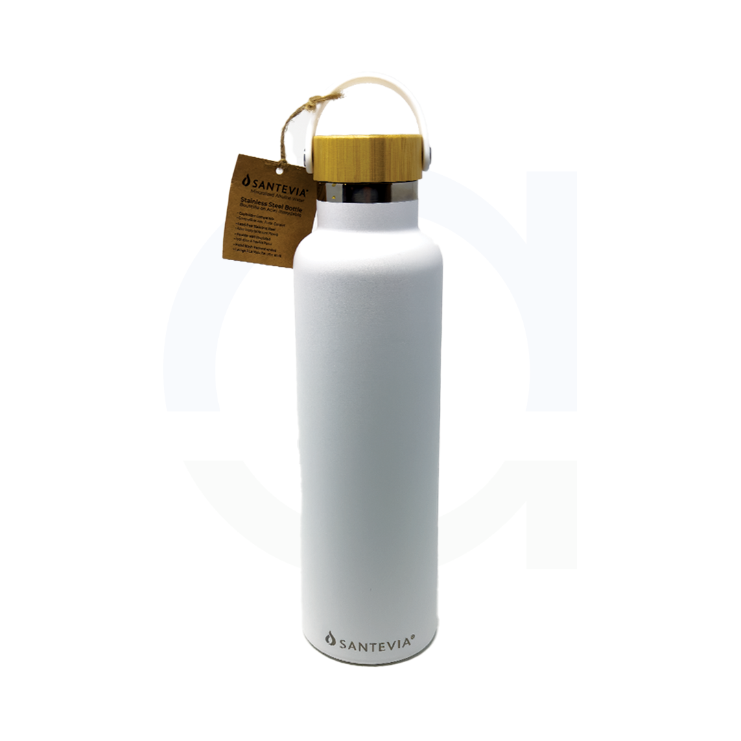 Stainless Steel Bottle